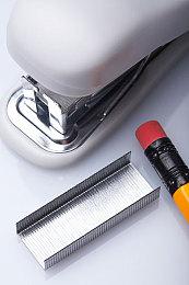 《东方：平野孤鸿》发售日预告 11月15日海外上线